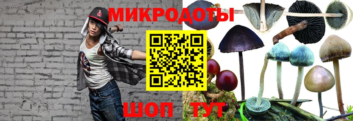 Псилоцибиновые грибы ЛСД Елизово