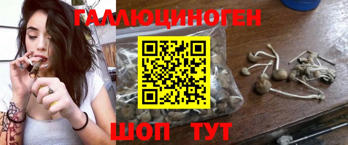 Елизово  Галлюциногенные грибы прущие грибы  Вход с VPN 